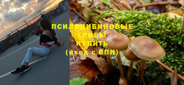 соль ск Верея